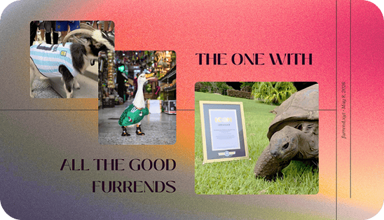 The one with all the good furrends