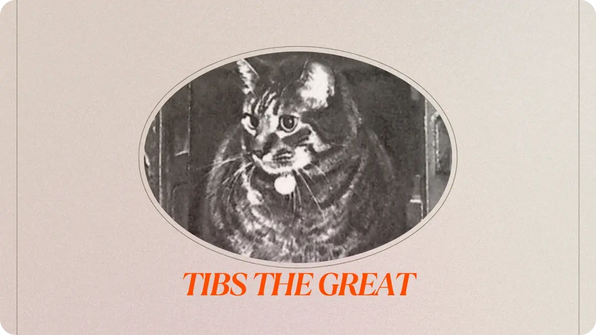 Tibs the great