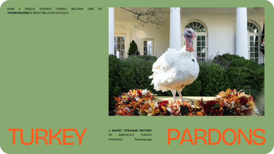 Preview image for social media