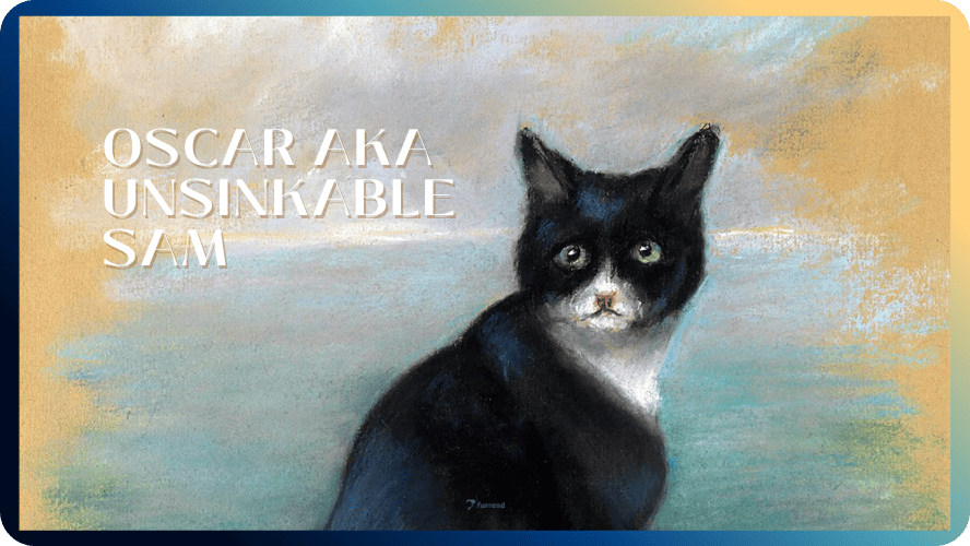 Unsinkable Sam